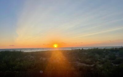 Supporting Your Circadian Rhythm – September 2025
